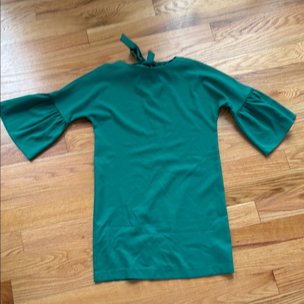 Banana Republic Green Dress with Sleeves